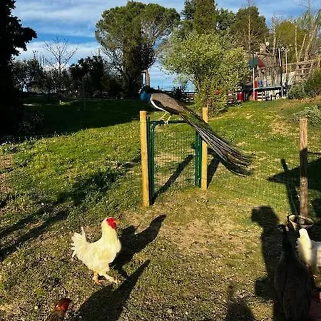 아파트 La Piccola Fattoria Nella Campagna Umbra Badiola (Perugia)