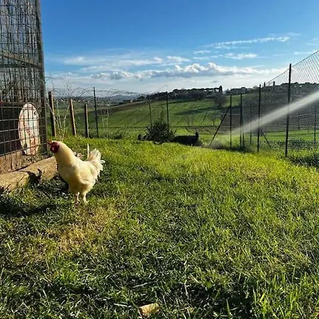 아파트 La Piccola Fattoria Nella Campagna Umbra