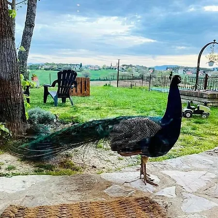 La Piccola Fattoria Nella Campagna Umbra Appartamento Badiola (Perugia)