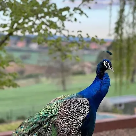 La Piccola Fattoria Nella Campagna Umbra * Badiola (Perugia)