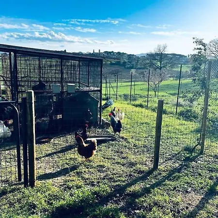 La Piccola Fattoria Nella Campagna Umbra Badiola (Perugia)